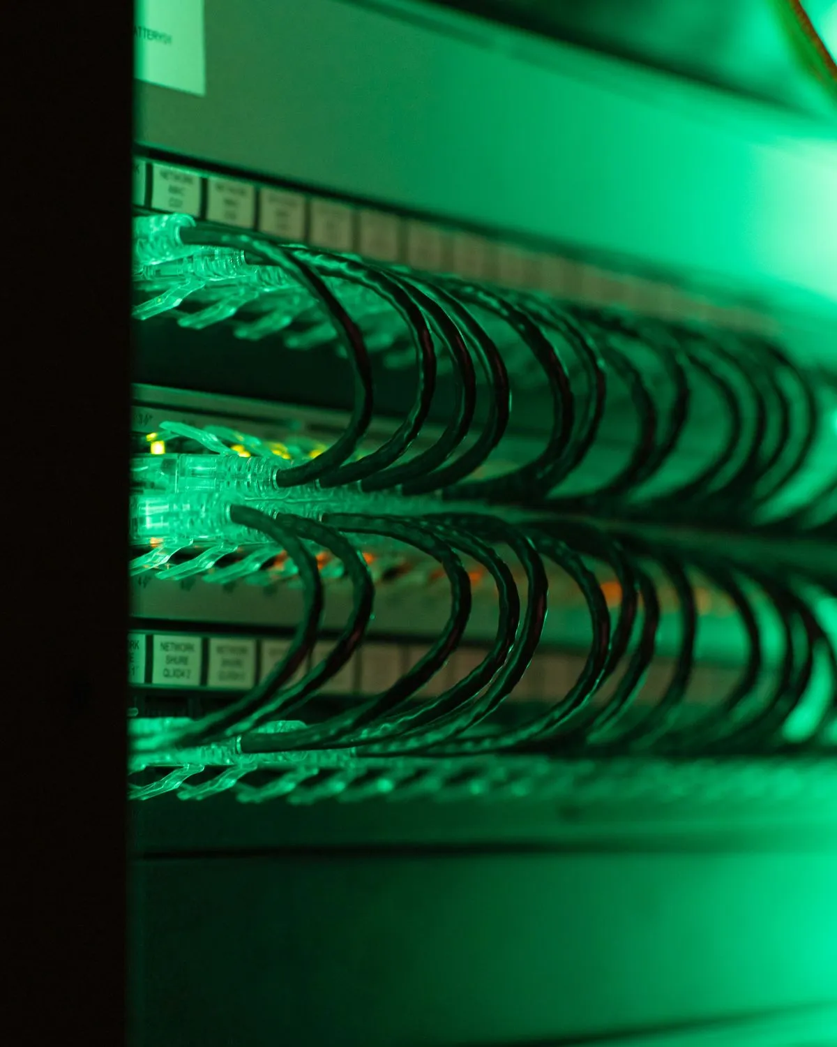 Network cables lit with green light in a server rack