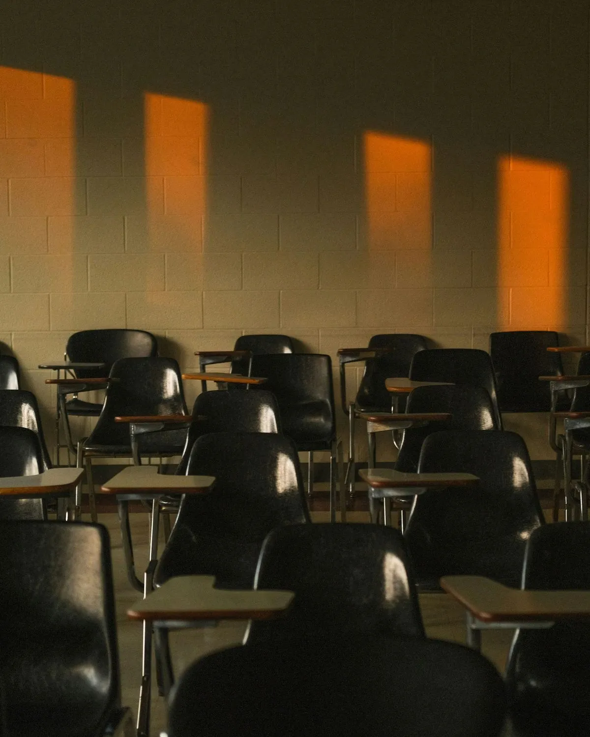 A sunlit classroom with rows of desks